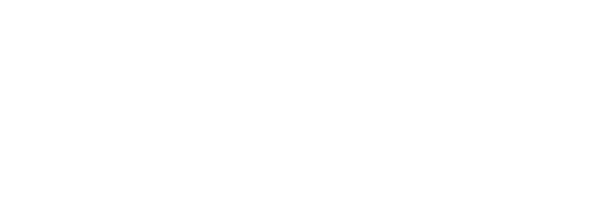 Experiencia Wellness