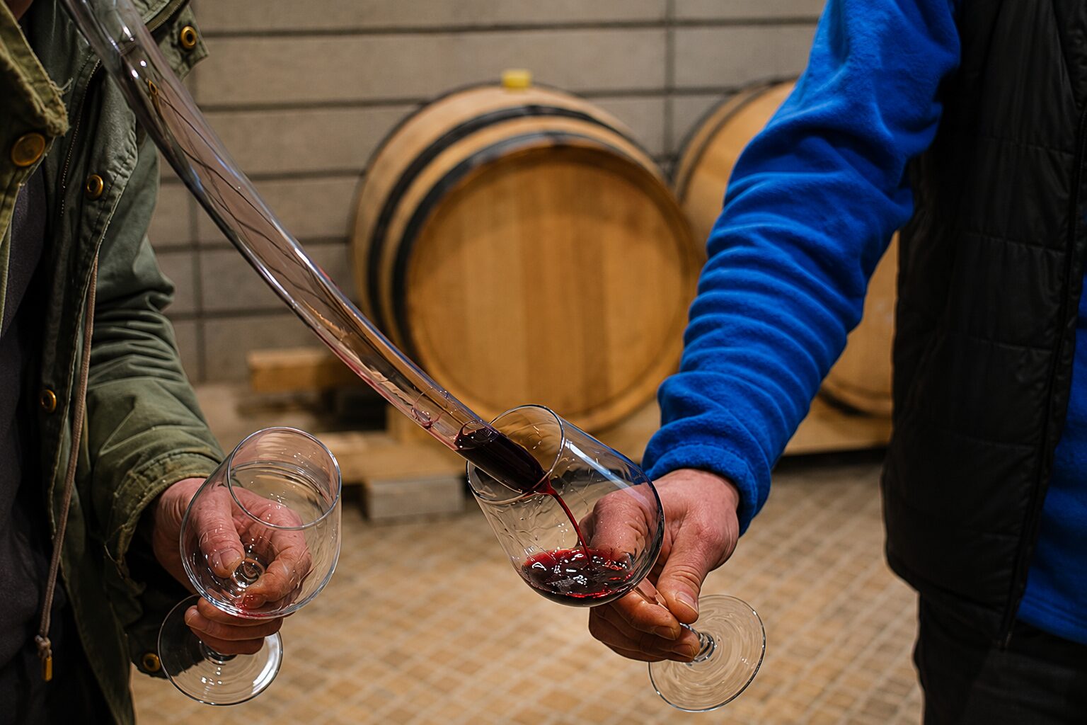 Viñedo y bodega Vides Singulares
